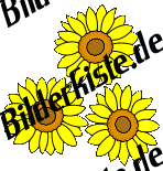 Animated Sunflower Gif